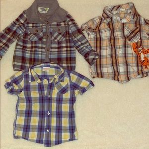 Toddlers polo shirts